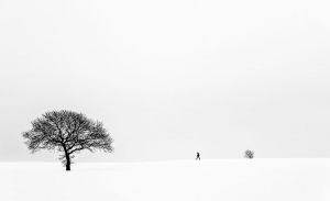 MP - 3013 Fotograf  Peter Helmut Larsen    Walk in the snow  